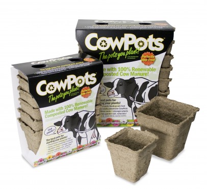 Cowpots Family