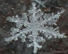 snowflake