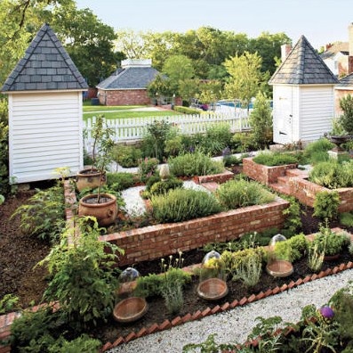 vegetable garden